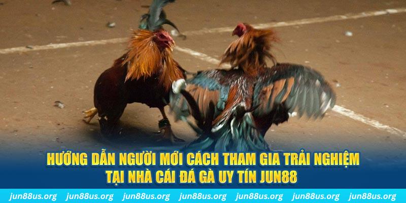 nuhu90 loi game dot kich ket noi may chu that bai