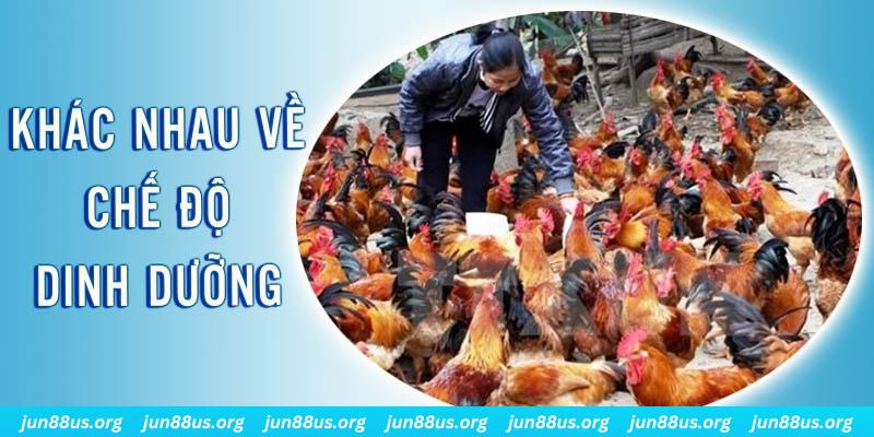 nuhu90 xổ số miền nam thứ năm hàng tuần