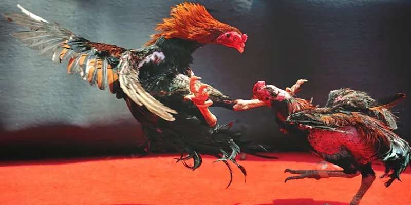 nuhu90 bắn cá h5 chơi ngay