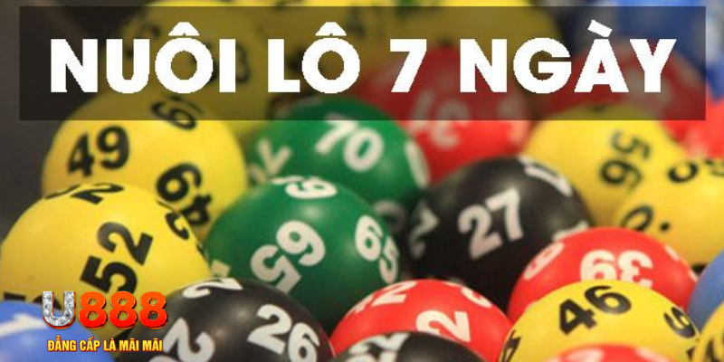 nuhu90 what is a virtual casino