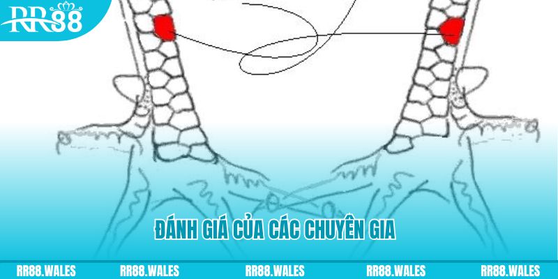 nuhu90 V8 Game Bài 3d