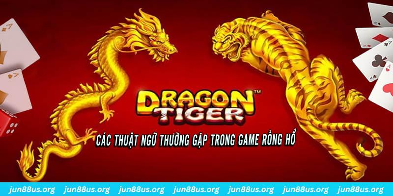 nuhu90 ÁT CHỦ BÀI ĐẤU ĐỊA CHỦ