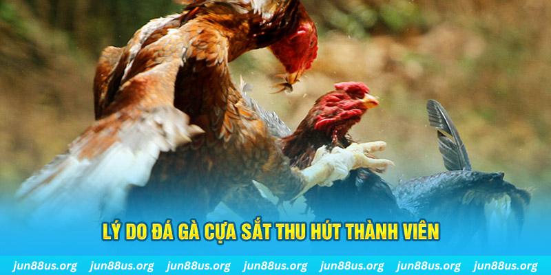 nuhu90 chiếm slot là gì