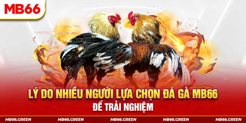 nuhu90 KA Điện Tử