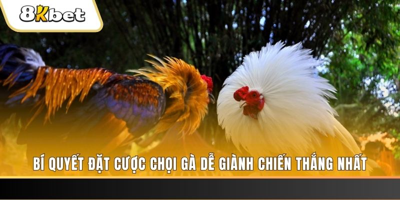 nuhu90 xổ số thứ hai hàng tuần