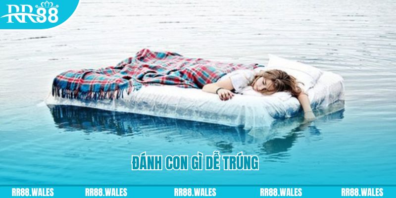 nuhu90 đăng nhập liêng hàng đầu