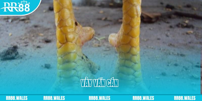 nuhu90 đăng nhập nổ hũ hôm nay