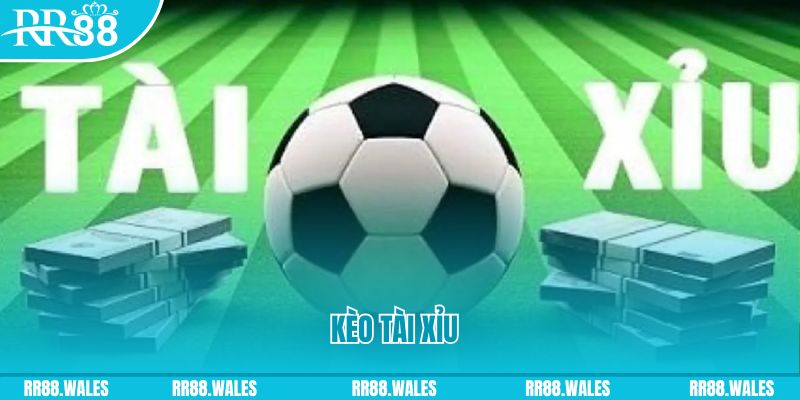 nuhu90 Giành Chủ Bull Bull